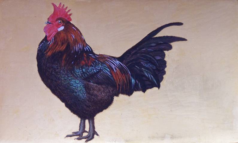 Gallo