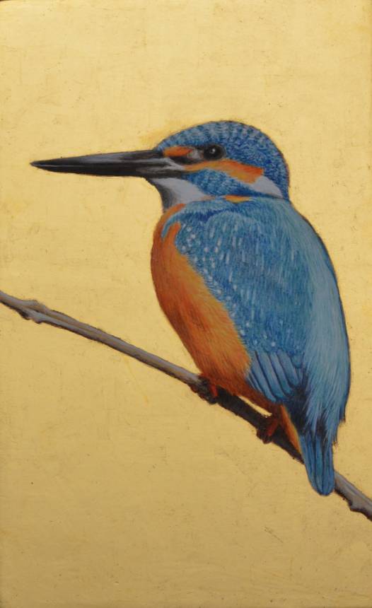 Kingfisher (Martin pescatore)