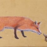 una volpe annusa il naso di una timida tartaruga